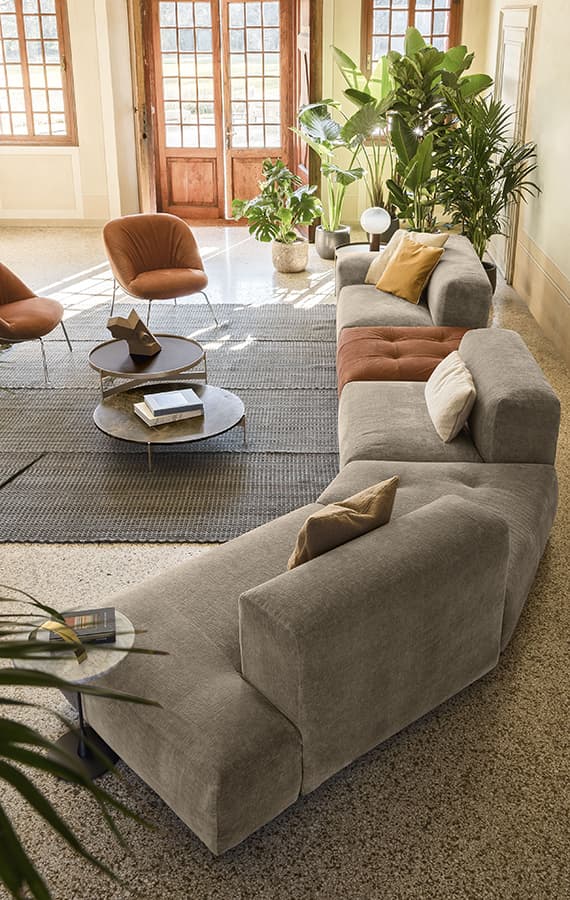 Delano Up thumbnail 3