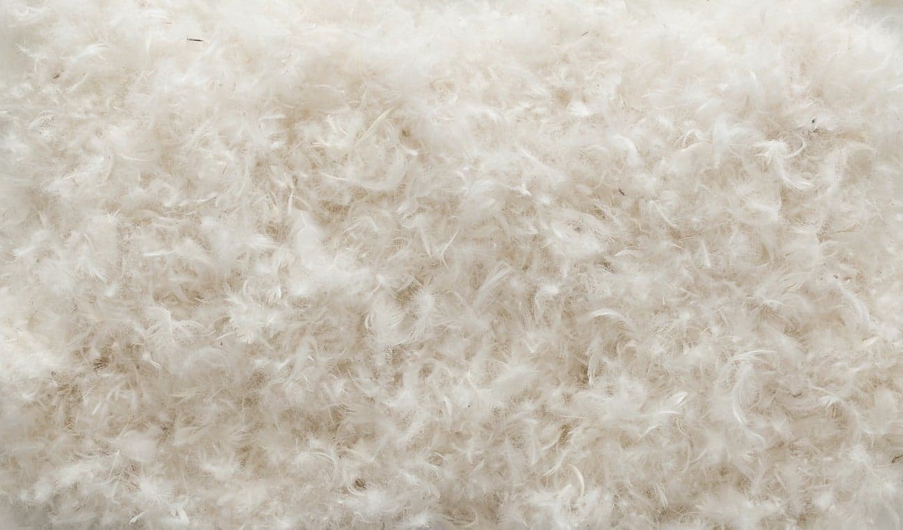 Bellport thumbnail 3