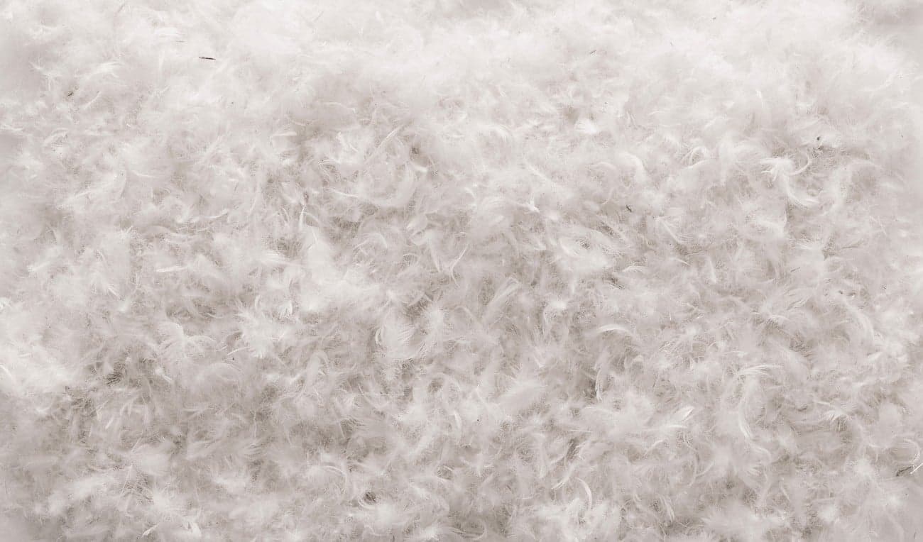 Bellport thumbnail 4