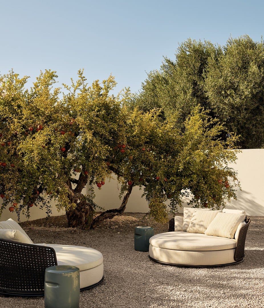 Magnolia thumbnail 2