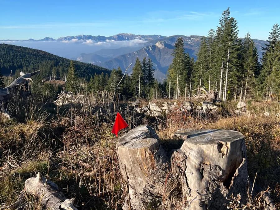 Porta Natura Forest thumbnail 3