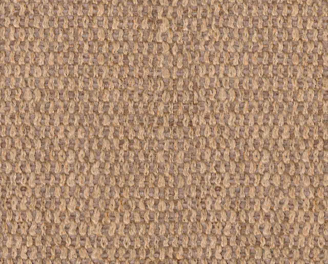 Back-Wing thumbnail 3