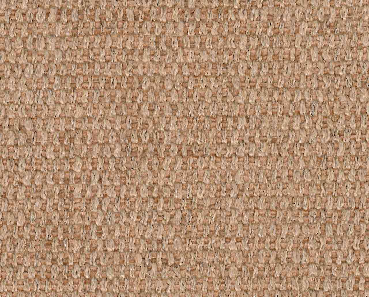 Back-Wing thumbnail 4