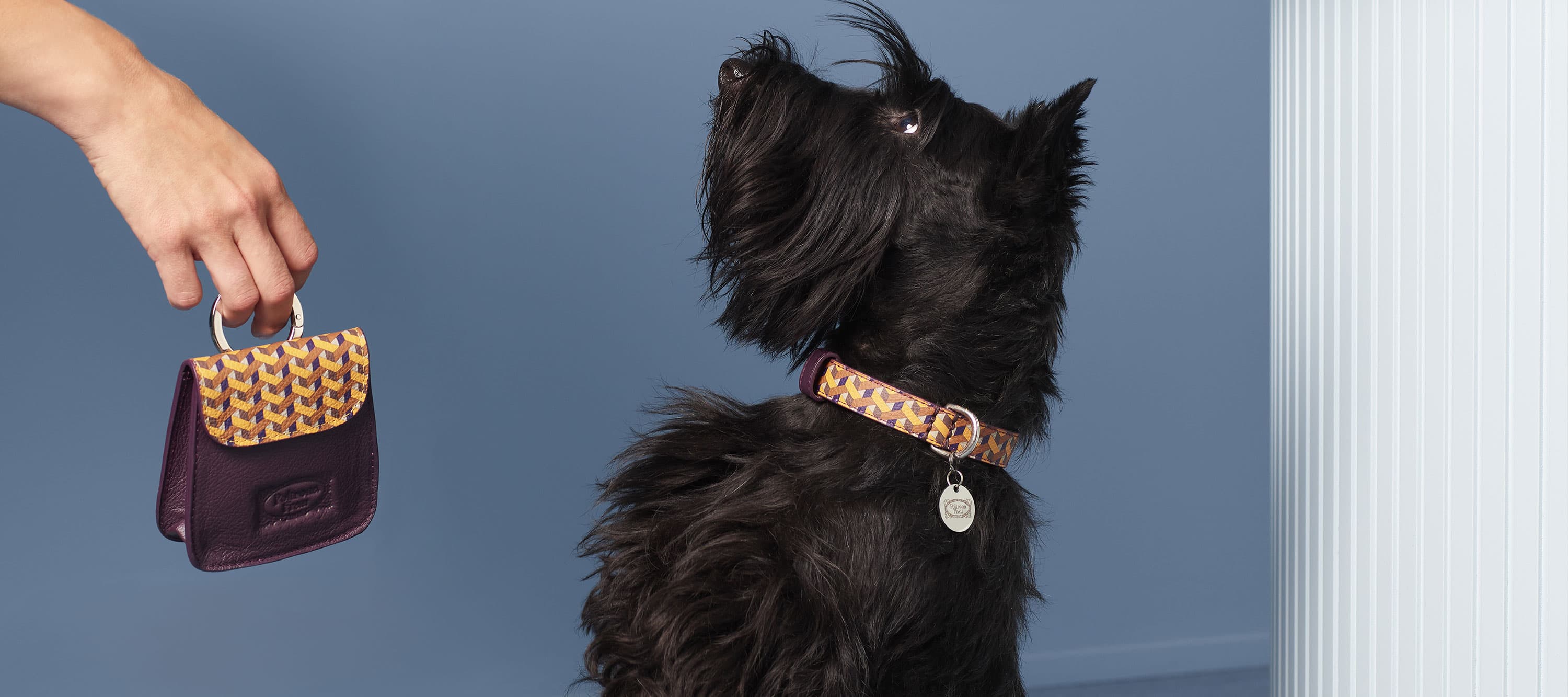 Pet collection | Biscuit pocket