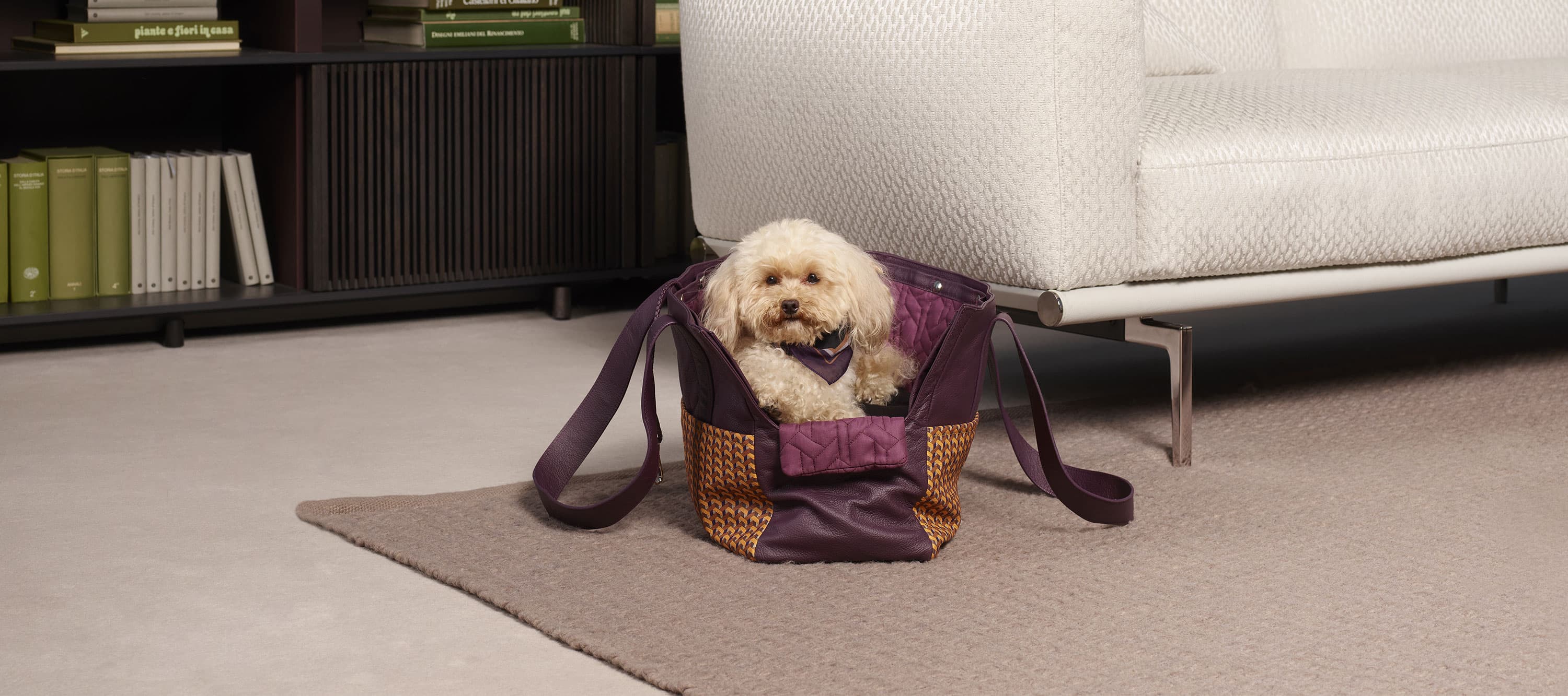 Pet collection | Dog bag
